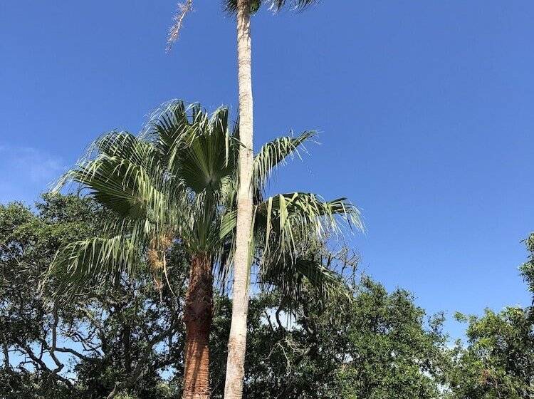 فندق Avenue O Bed And Breakfast