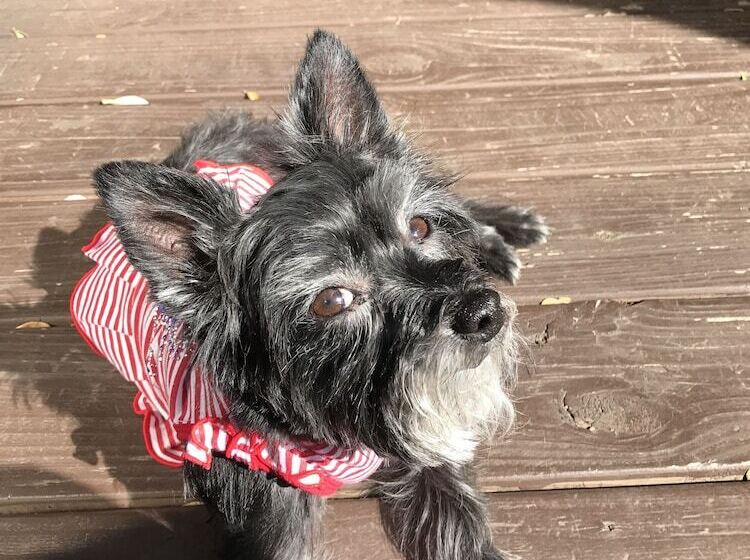 فندق Avenue O Bed And Breakfast