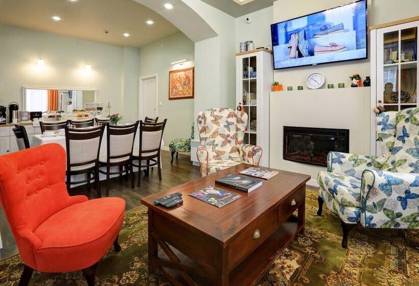 בית מלון כפרי City Boutique Inn