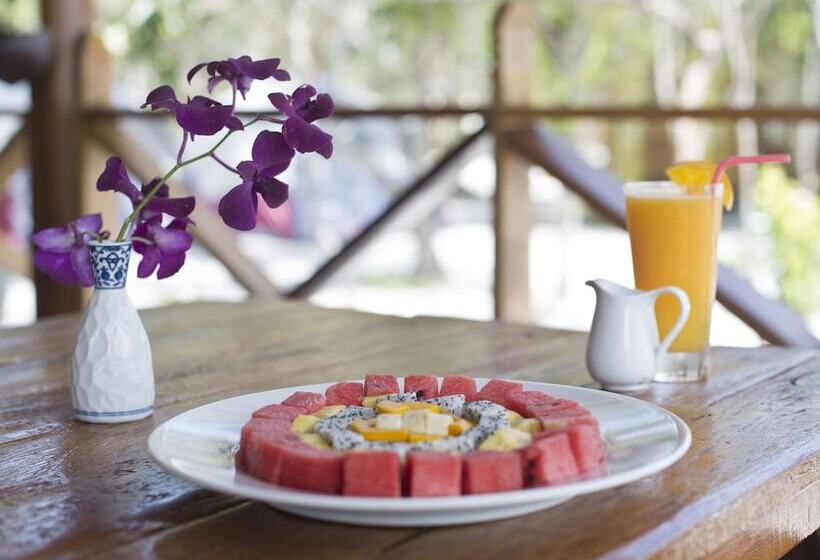 בית מלון כפרי Orchid Resort