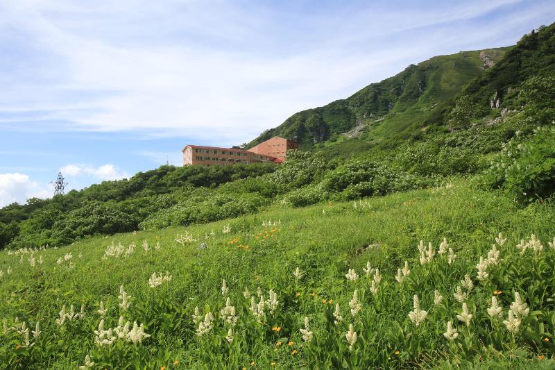 בית מלון כפרי Senjojiki