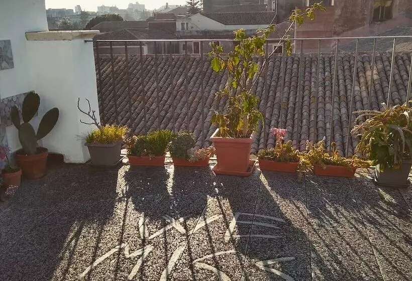 هتل Bed, Book & Breakfast Landolina