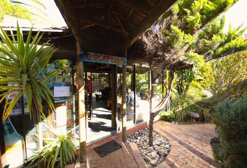 בית מלון כפרי Saltycrax Backpackers And Surf Hostel By Curiocity