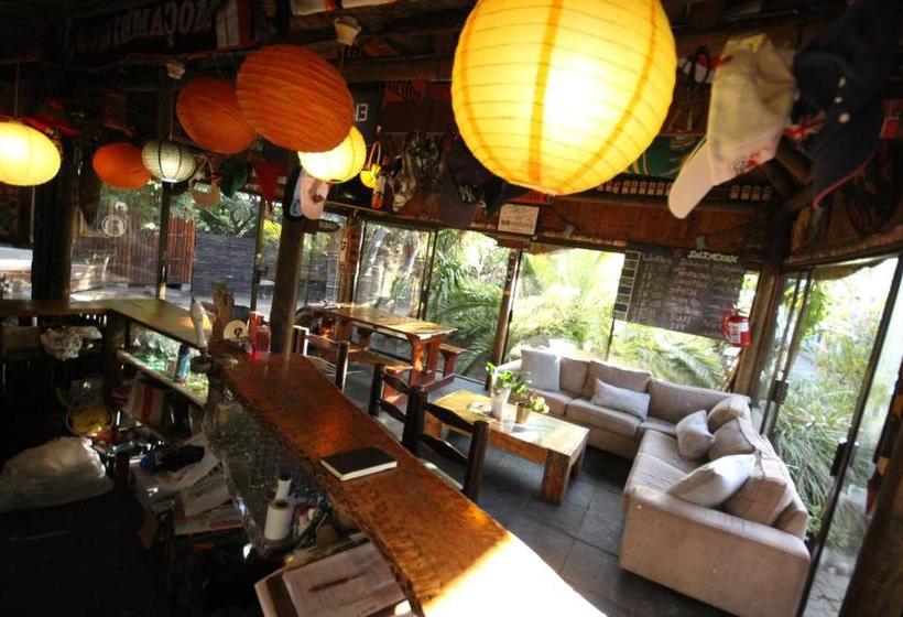 בית מלון כפרי Saltycrax Backpackers And Surf Hostel By Curiocity