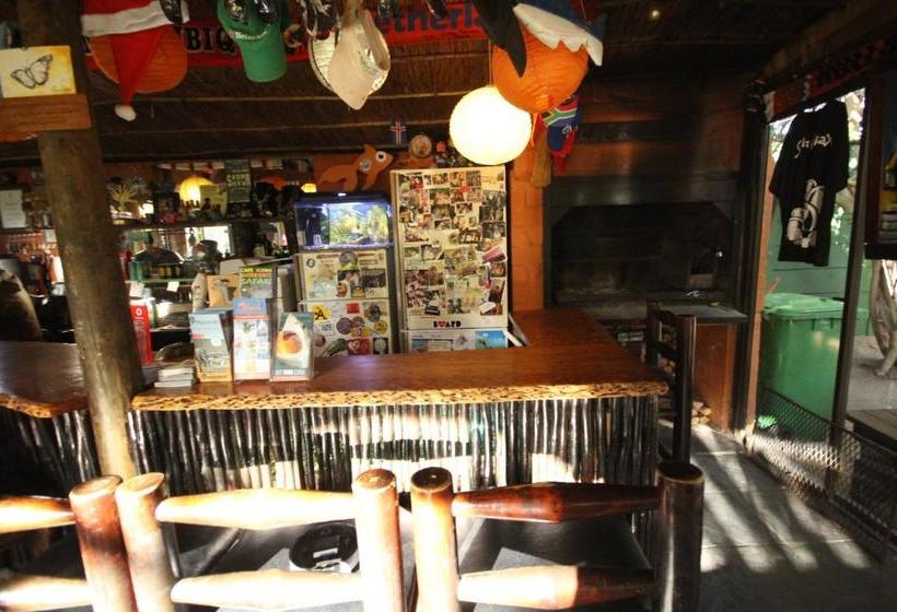 בית מלון כפרי Saltycrax Backpackers And Surf Hostel By Curiocity