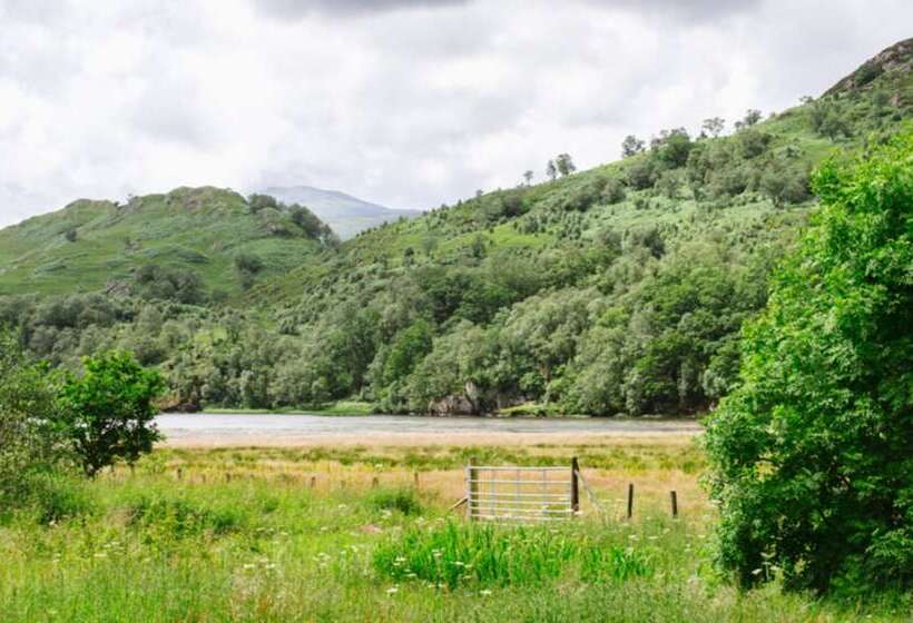 בית מלון כפרי The Lapwing