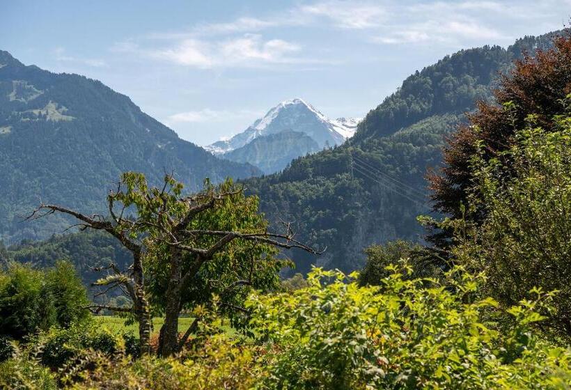 فندق Salzano Basic Rooms Interlaken