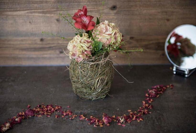 فندق Salzano Basic Rooms Interlaken