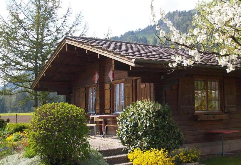 فندق Salzano Basic Rooms Interlaken