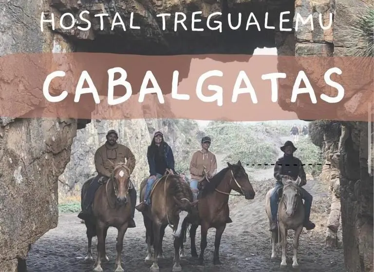 ベッドアンドブレックファースト Hostal Tregualemu