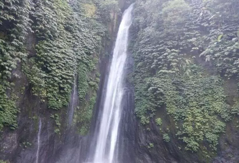 ベッドアンドブレックファースト Da Kayu Bali Homestay