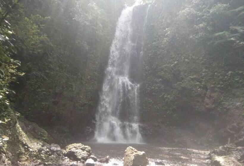 Bed and Breakfast Da Kayu Bali Homestay