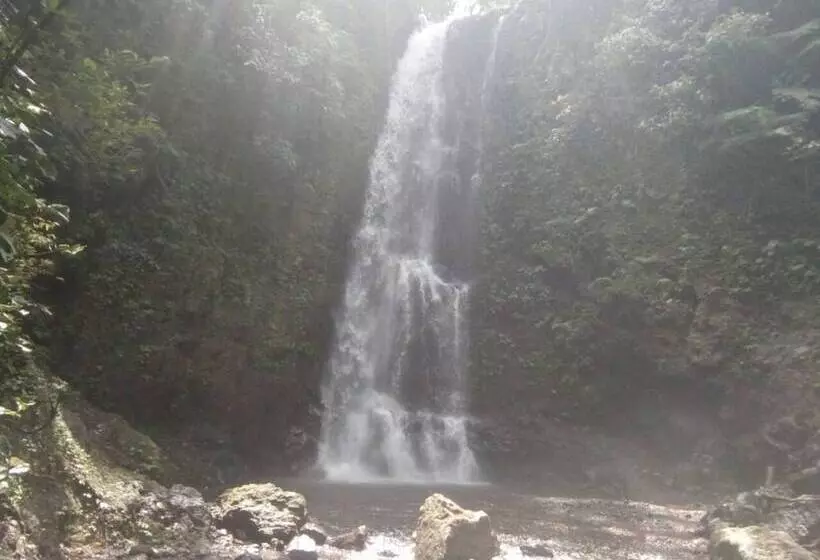 ベッドアンドブレックファースト Da Kayu Bali Homestay