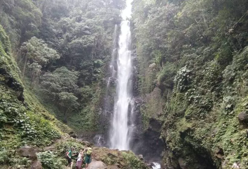 ベッドアンドブレックファースト Da Kayu Bali Homestay
