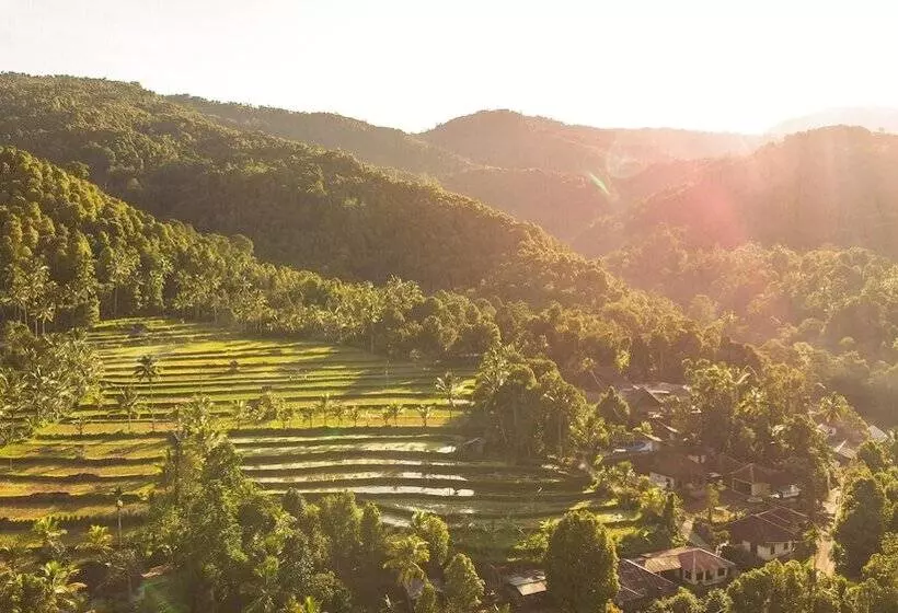 ベッドアンドブレックファースト Da Kayu Bali Homestay