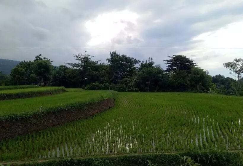 Aamiaismajoitus (B&B) Swar Bali Lodge