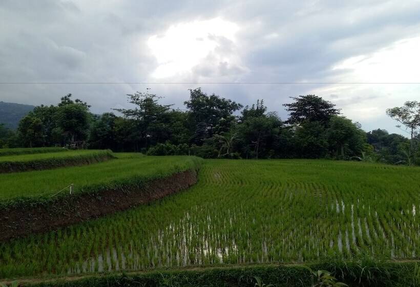 ベッドアンドブレックファースト Swar Bali Lodge