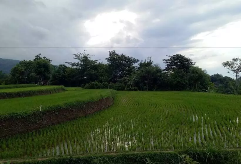 Aamiaismajoitus (B&B) Swar Bali Lodge