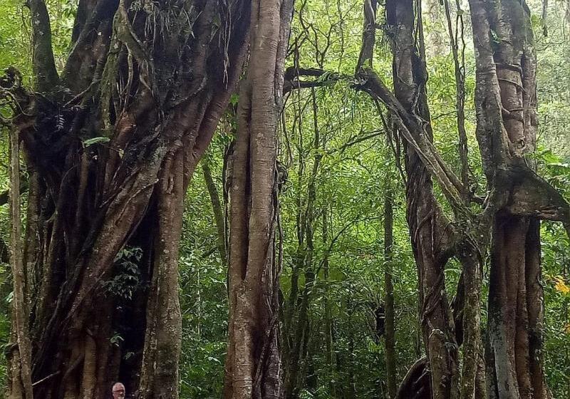 ベッドアンドブレックファースト Swar Bali Lodge