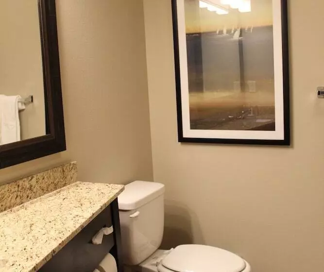 ホテル Brookstone Lodge & Suites  Emmetsburg