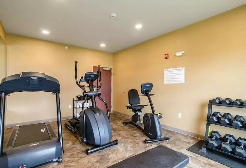 Hotelli Cobblestone Inn & Suites   Vinton