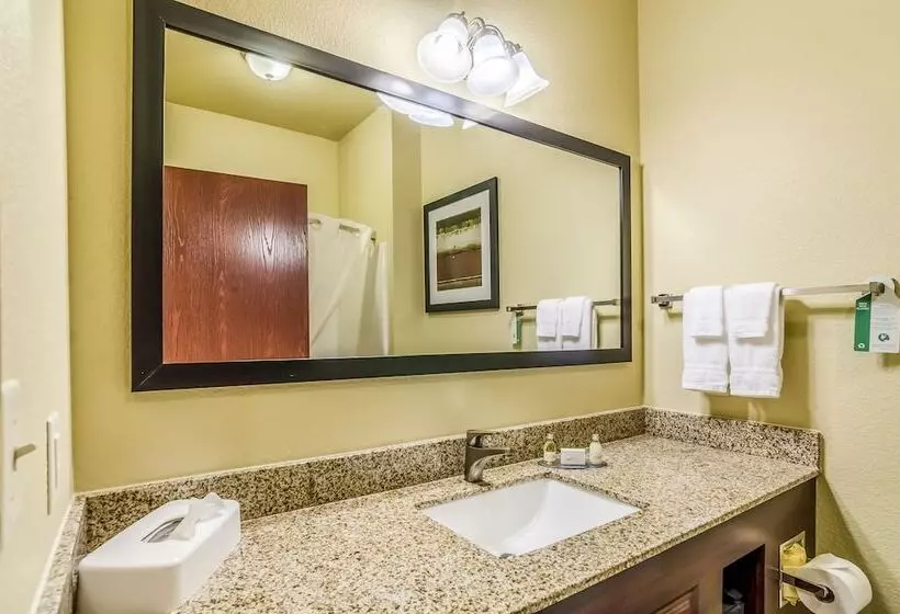Hotelli Cobblestone Inn & Suites   Vinton