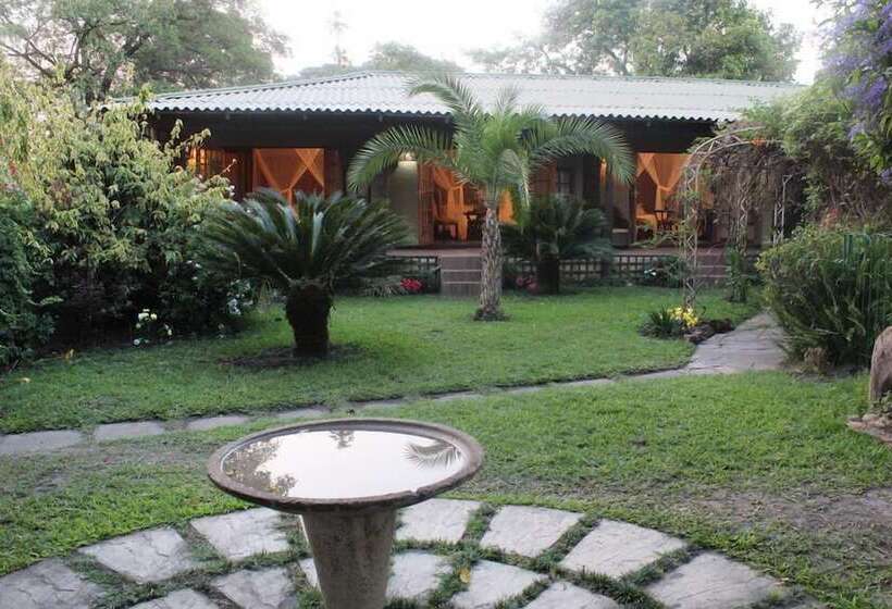 پانسیون Cappuccino S Lodge