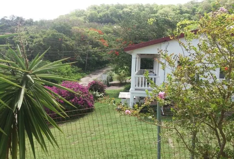 Aamiaismajoitus (B&B) A Private Room In Paradise, Vieux Fort