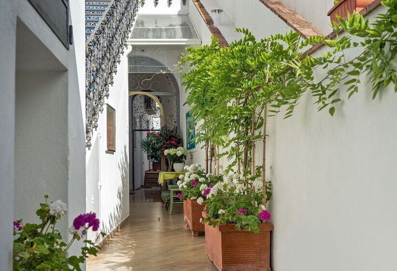 تختخواب و صبحانه Capri Dreaming