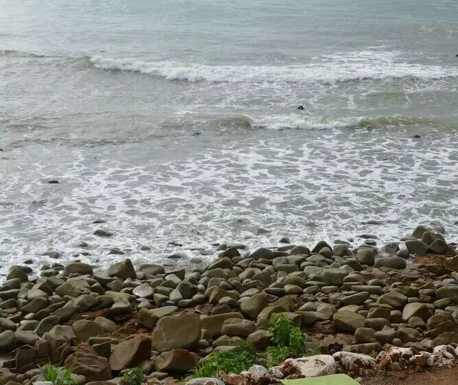 Busua Paradiso Beach Resort