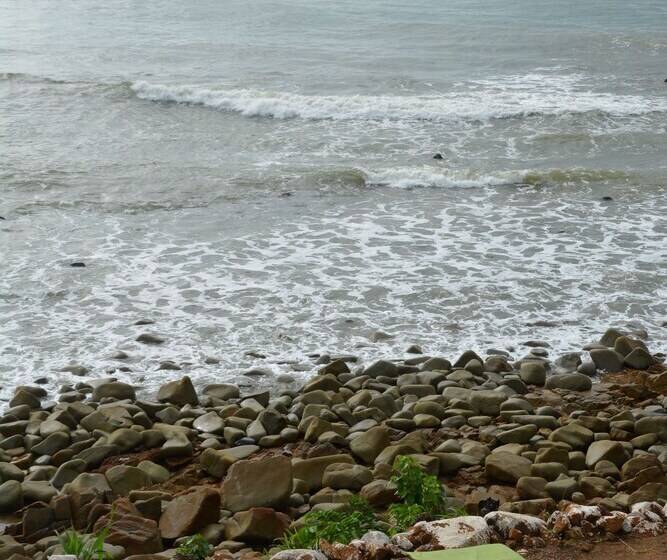 Busua Paradiso Beach Resort