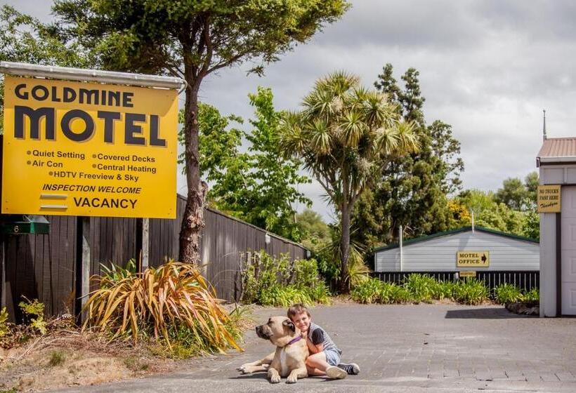 Goldmine Motel