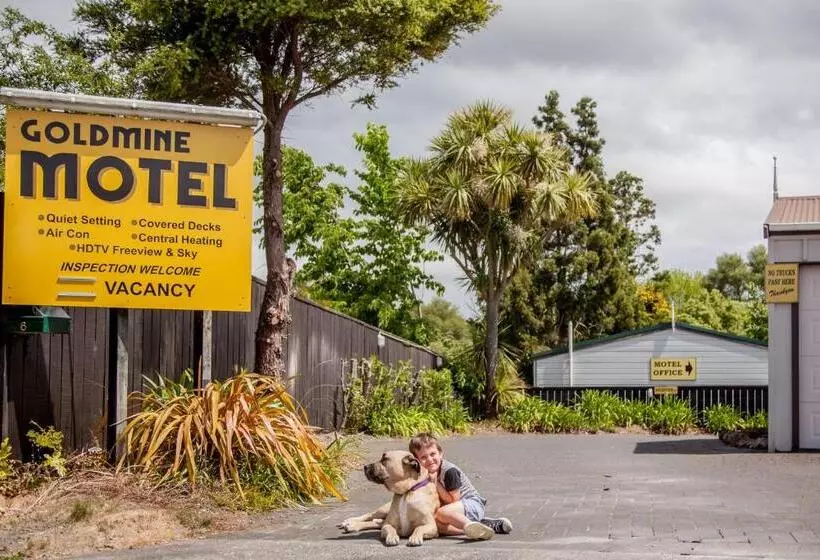 Goldmine Motel
