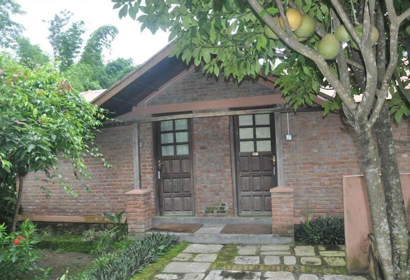 هتل Elephant Camp