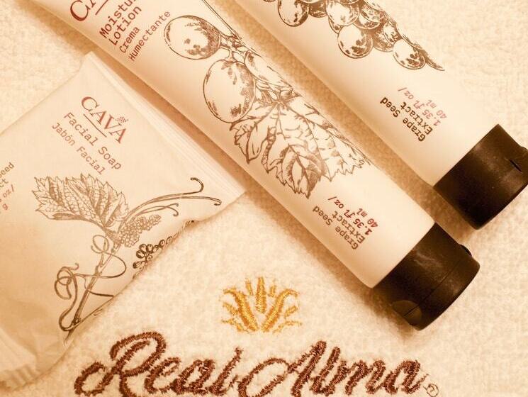 Отель Real Alma