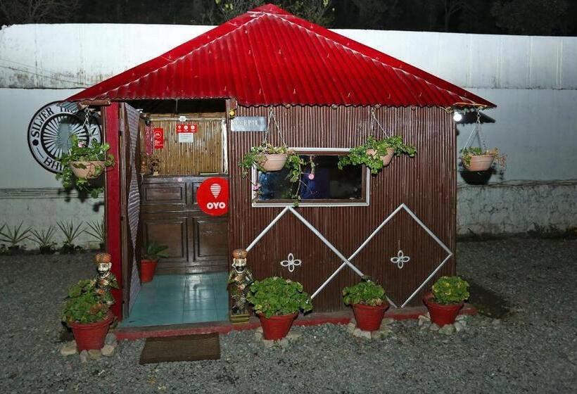 هتل Silver Tree Inn