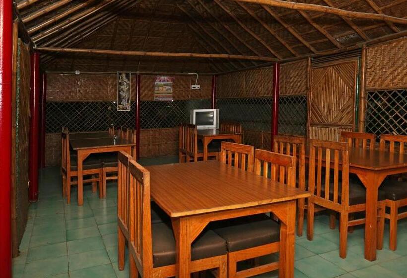 هتل Silver Tree Inn