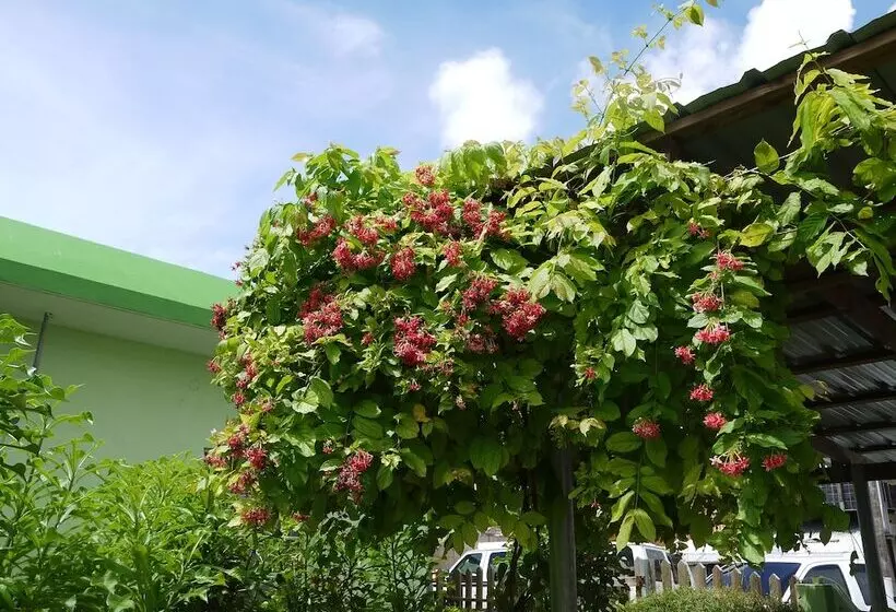 پانسیون G.t. Guest House