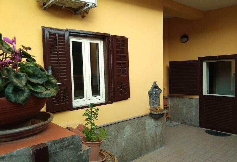 پانسیون Home To Fly