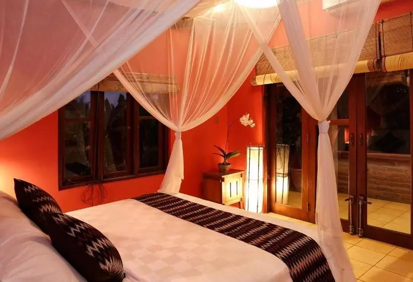 Rare Angon Villas
