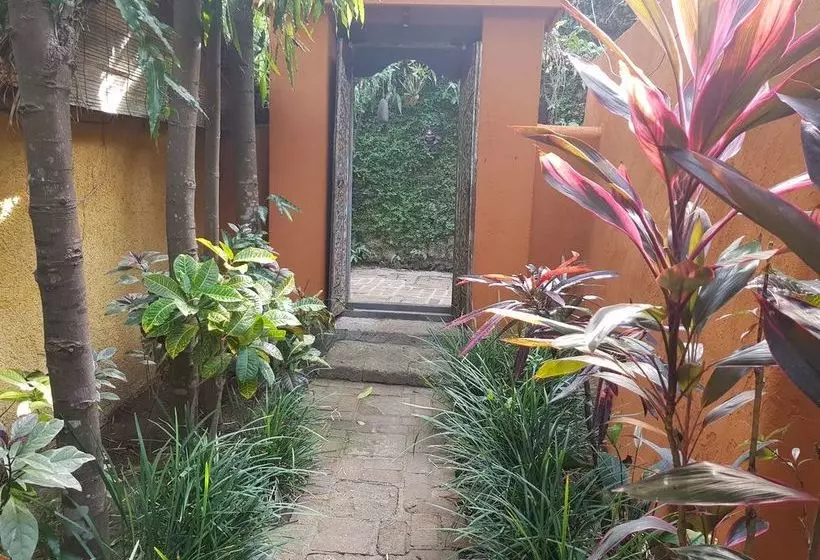 Rare Angon Villas