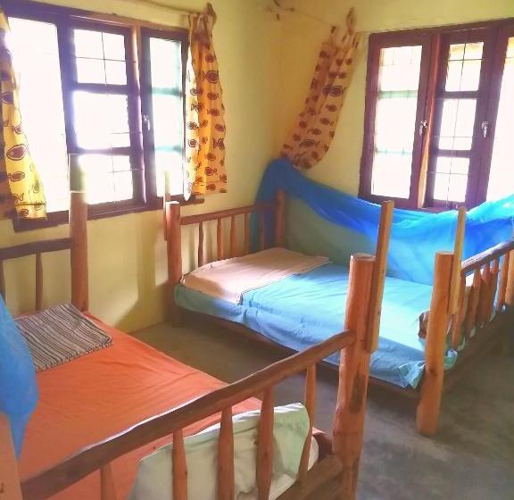 הוסטל Beach Village Backpackers