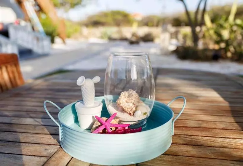 Aruba Boutique Apartments   Adults Only