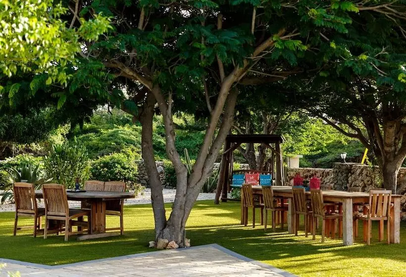 Aruba Boutique Apartments   Adults Only