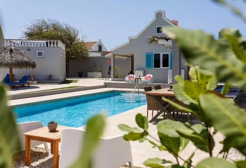 Aruba Boutique Apartments   Adults Only
