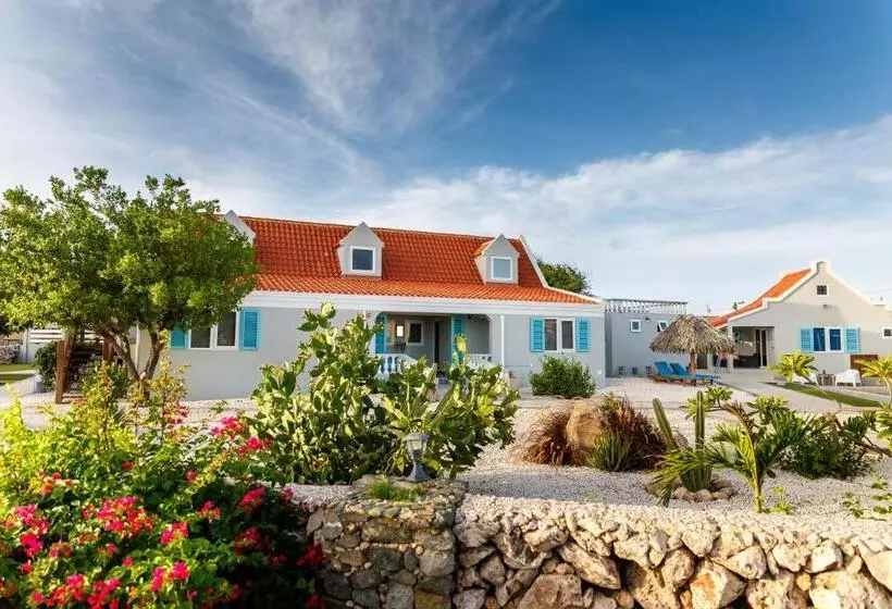 Aruba Boutique Apartments   Adults Only