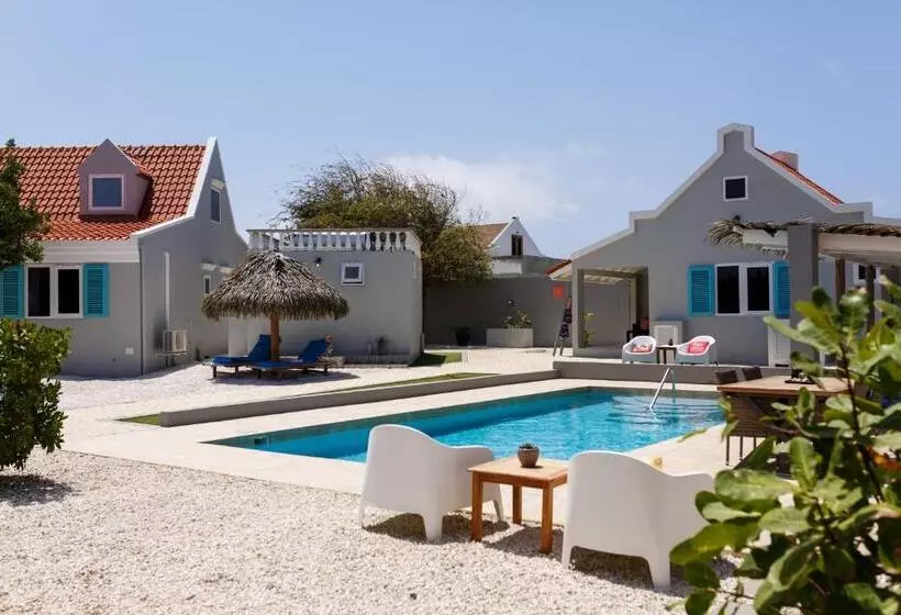 Aruba Boutique Apartments   Adults Only