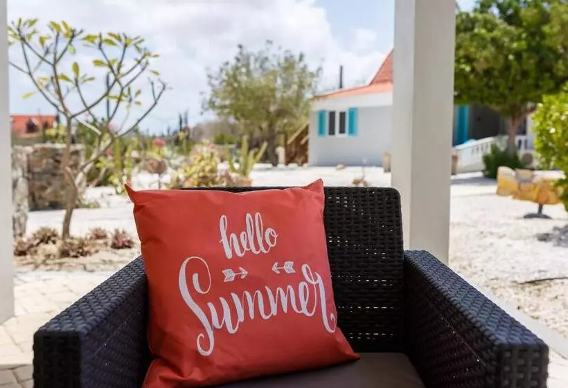 Aruba Boutique Apartments   Adults Only