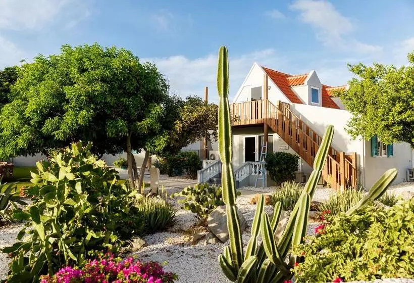 Aruba Boutique Apartments   Adults Only