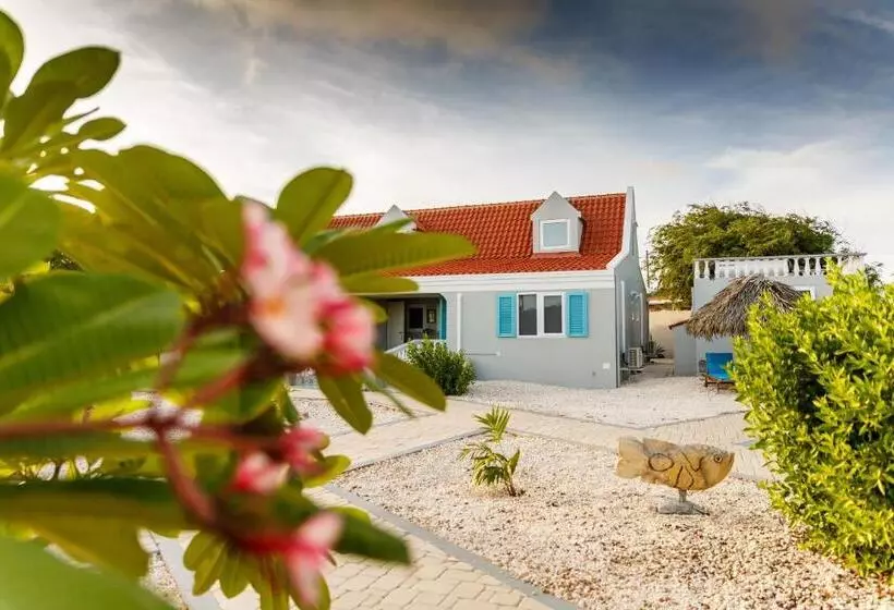 Aruba Boutique Apartments   Adults Only